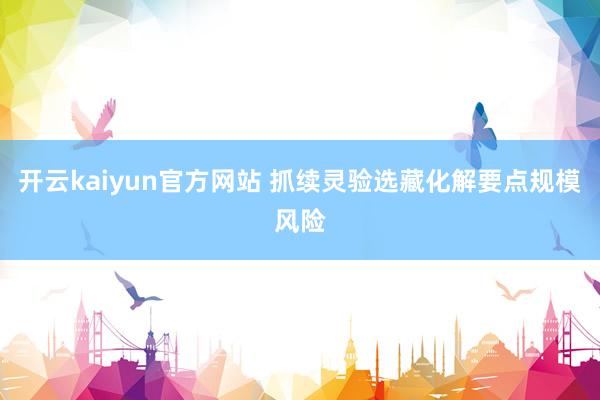 开云kaiyun官方网站 抓续灵验选藏化解要点规模风险