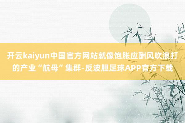 开云kaiyun中国官方网站就像饱胀应酬风吹浪打的产业“航母”集群-反波胆足球APP官方下载