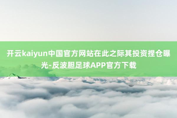 开云kaiyun中国官方网站在此之际其投资捏仓曝光-反波胆足球APP官方下载