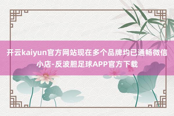 开云kaiyun官方网站现在多个品牌均已通畅微信小店-反波胆足球APP官方下载