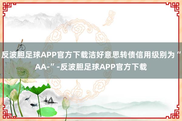 反波胆足球APP官方下载洁好意思转债信用级别为“AA-”-反波胆足球APP官方下载