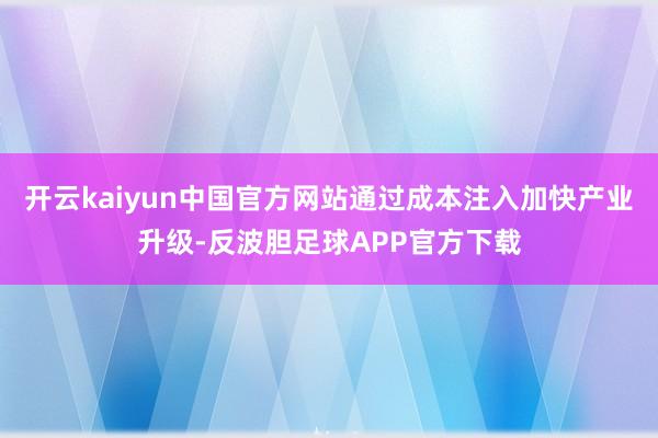 开云kaiyun中国官方网站通过成本注入加快产业升级-反波胆足球APP官方下载