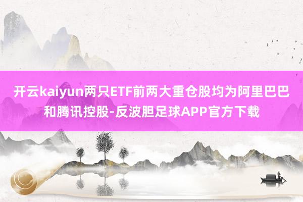 开云kaiyun两只ETF前两大重仓股均为阿里巴巴和腾讯控股-反波胆足球APP官方下载