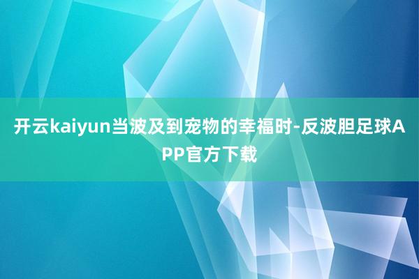 开云kaiyun当波及到宠物的幸福时-反波胆足球APP官方下载