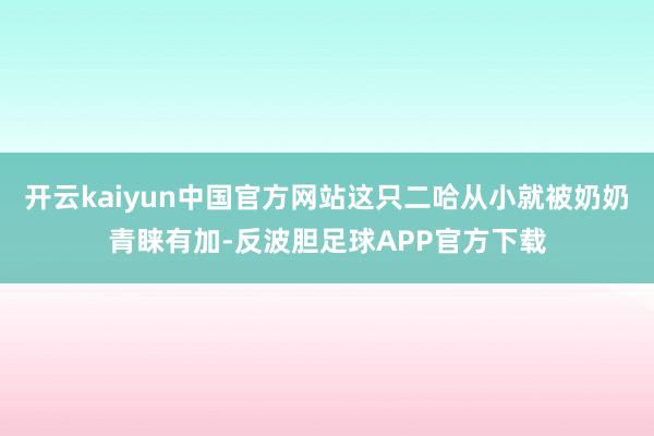 开云kaiyun中国官方网站这只二哈从小就被奶奶青睐有加-反波胆足球APP官方下载