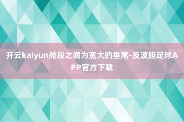 开云kaiyun舱段之间为宽大的垂尾-反波胆足球APP官方下载