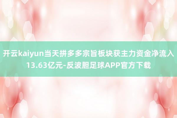 开云kaiyun当天拼多多宗旨板块获主力资金净流入13.63亿元-反波胆足球APP官方下载
